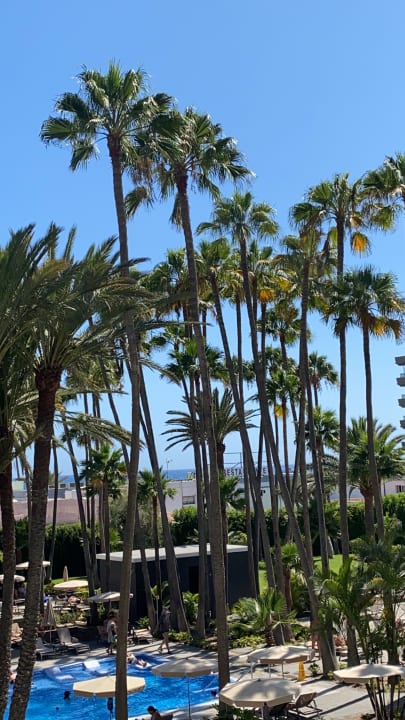 Gartenanlage Hotel Riu Palace Oasis