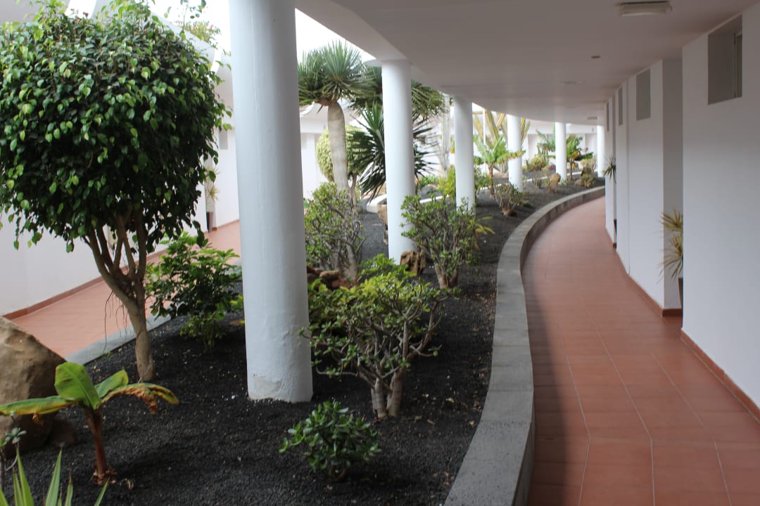 Gartenanlage allsun App.-Hotel Barlovento