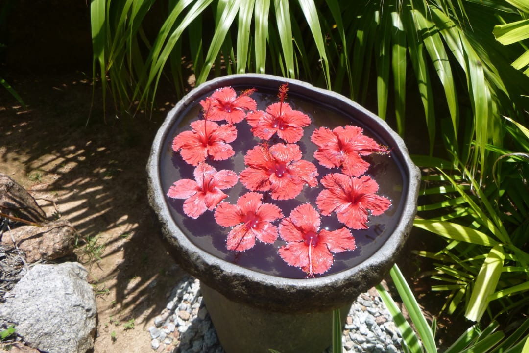 Gartenanlage Guesthouse Cabanes des Anges