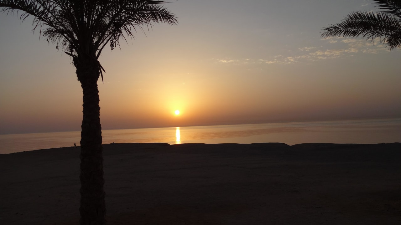 Sonnenaufgang Steigenberger Coraya Beach - Adults only