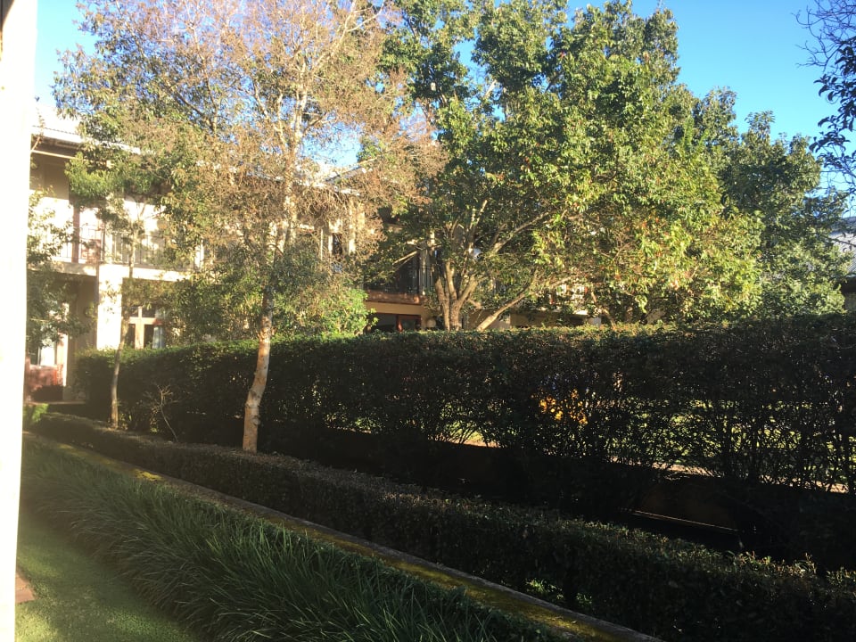 Gartenanlage Hotel Casterbridge Hollow