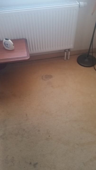 Zimmer Hotel Goldner Loewe