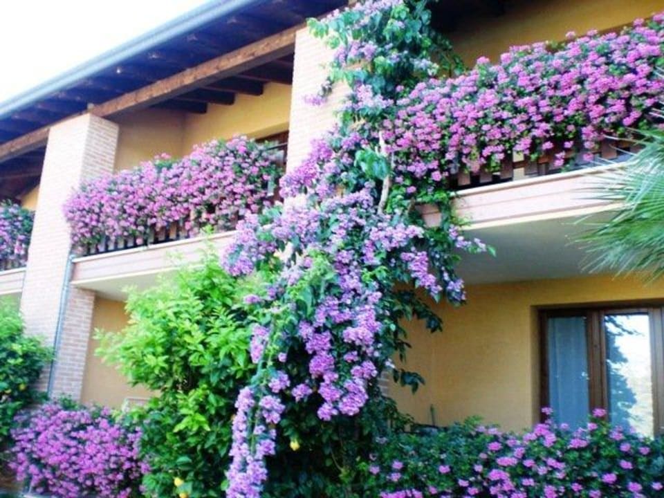 Die Balkons zu den Zimmern Hotel Olimpia