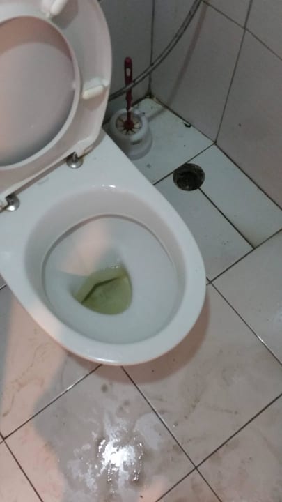 Hoteltoilette Park Hotel Golden Beach