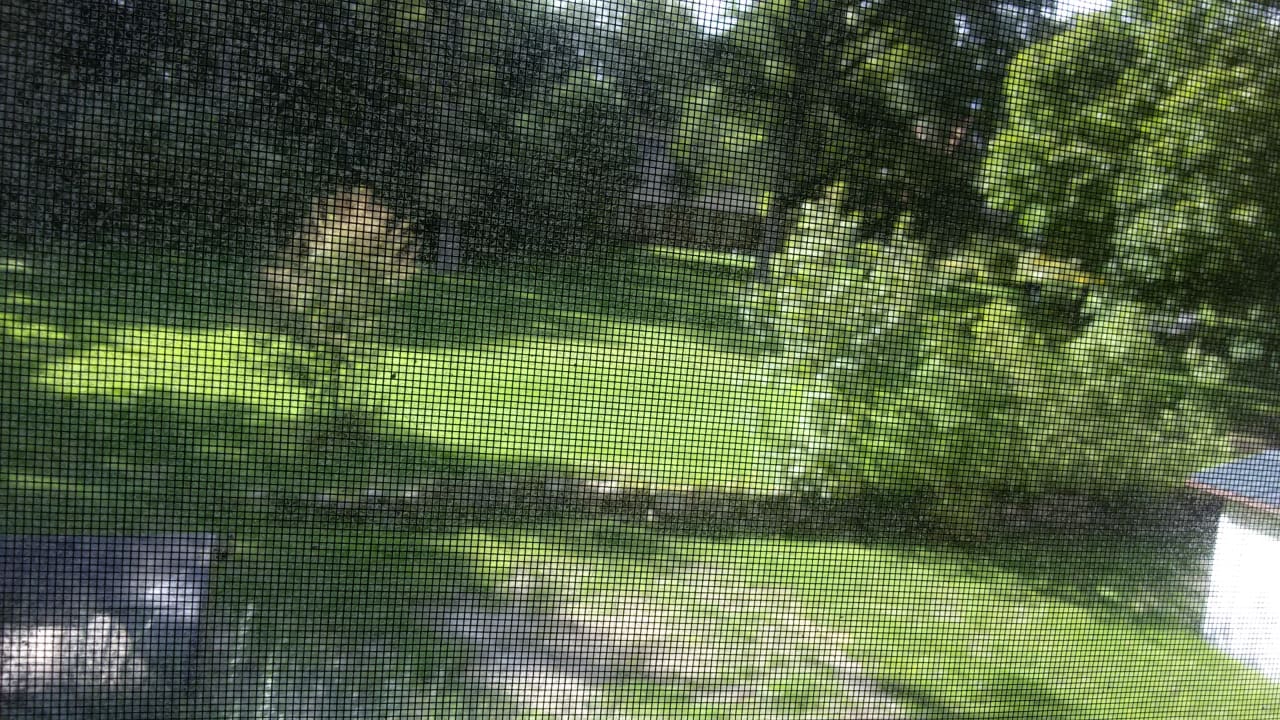 Ausblick Hotel Hof Tütsberg