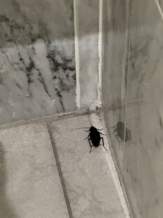 Zimmer Boutique 003 Köln am DOM, Trademark Collection by Wyndham