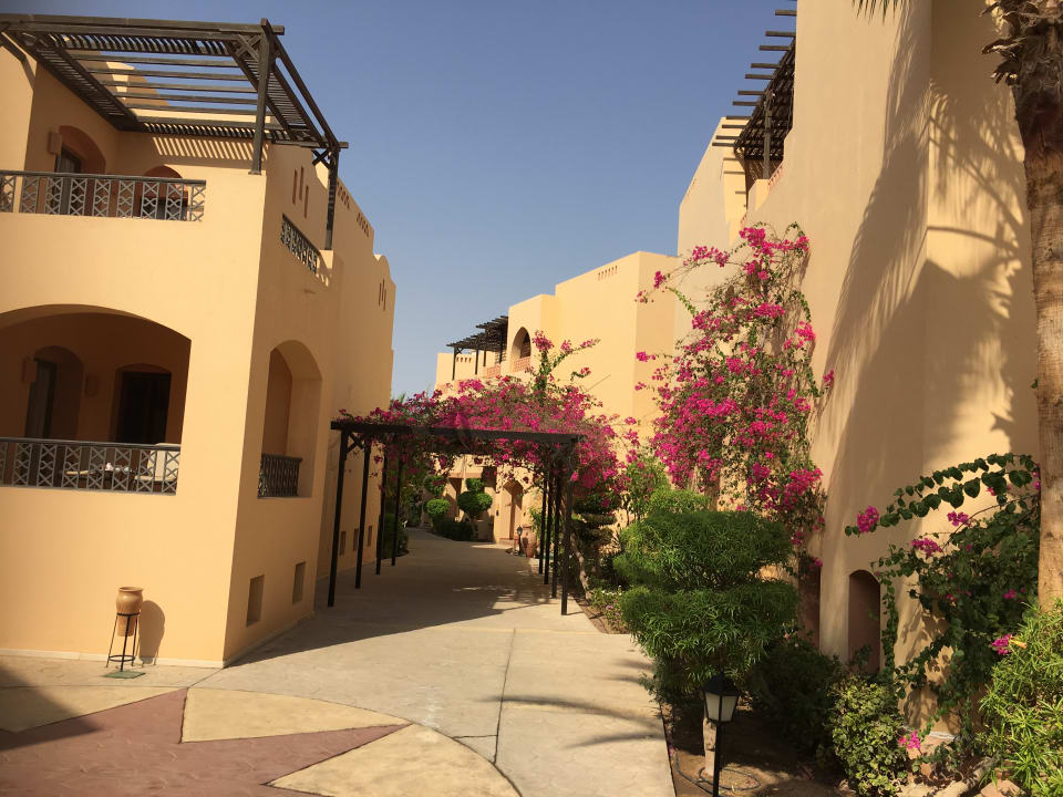 Sonstiges Steigenberger Coraya Beach - Adults only