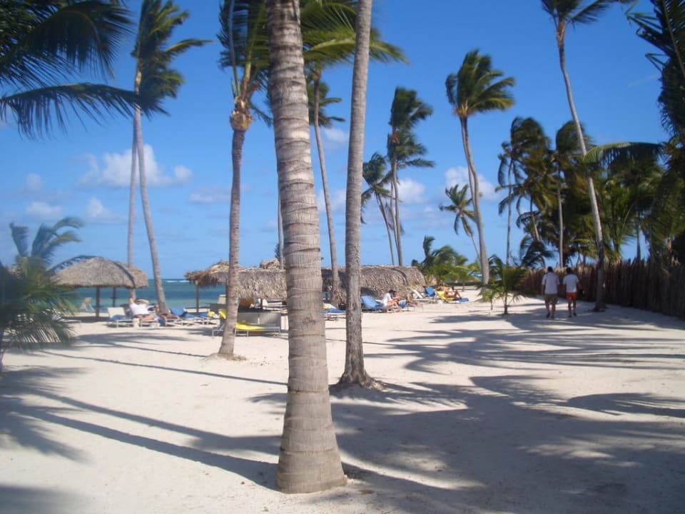 Strand  Catalonia Royal Bavaro - Adults only