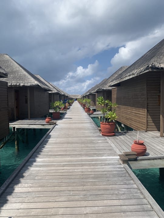 Außenansicht Meeru Maldives Resort Island