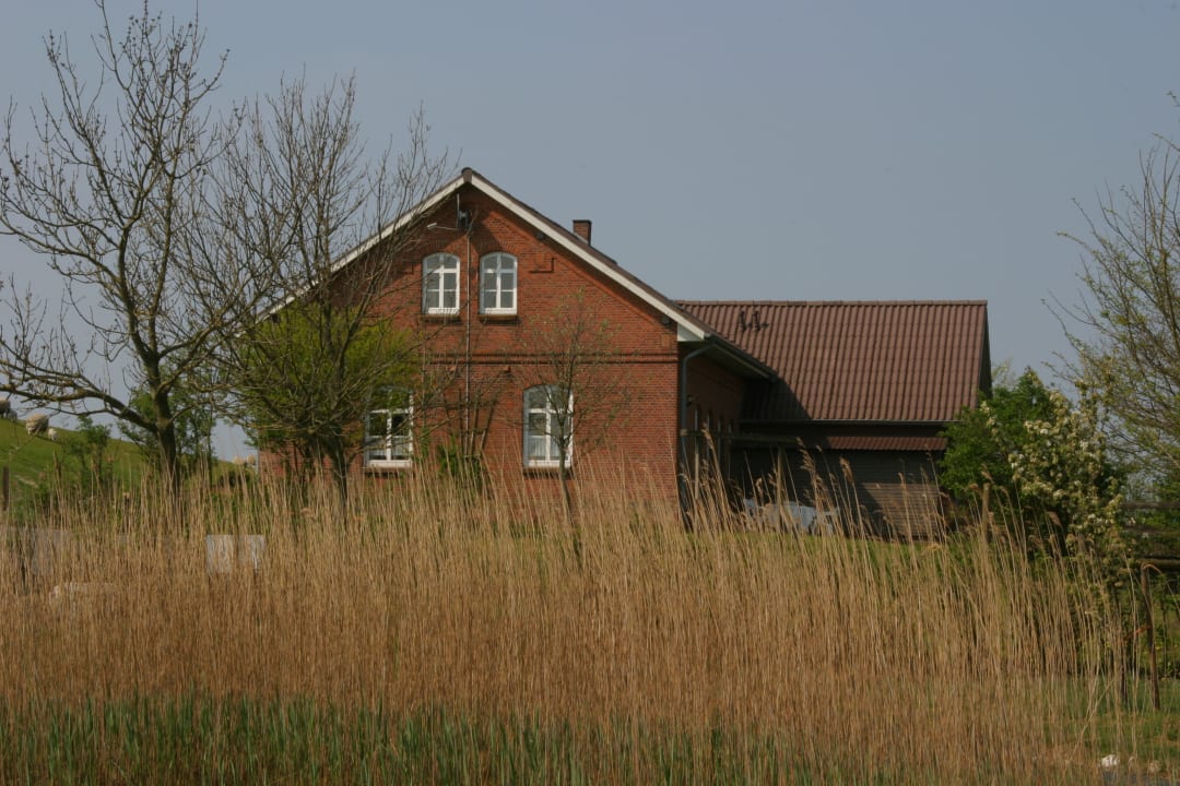 Ausblick Ferienhaus Hemenswarft direkt an der Nordsee mit Meerblick