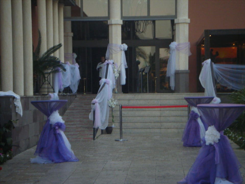 Gala Abend TUI BLUE Palm Garden