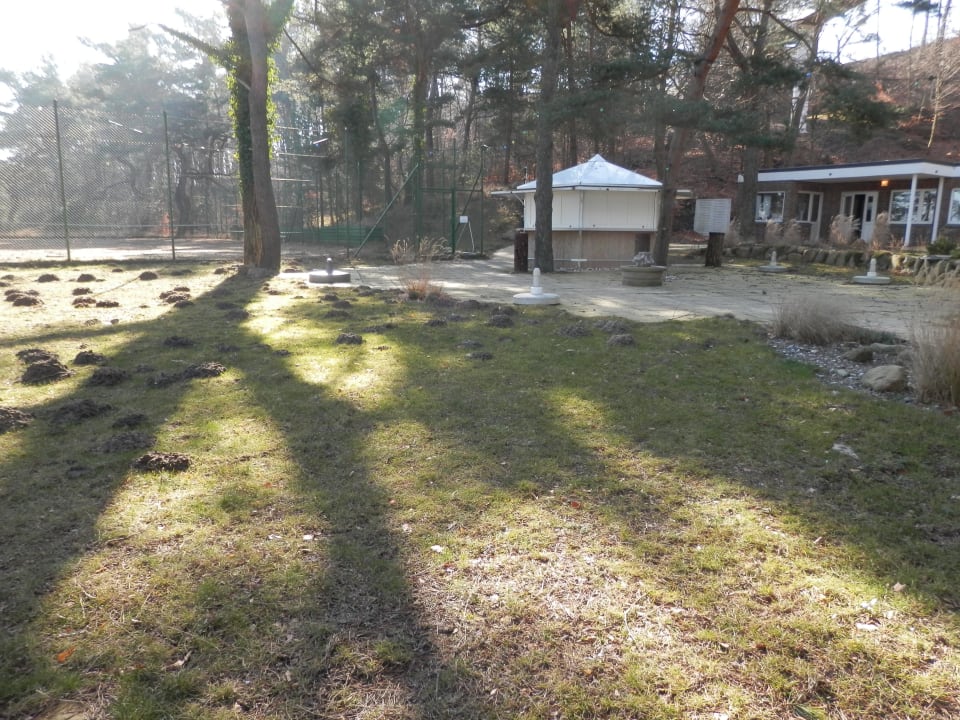 Ungepflegt Cliff Hotel Rügen