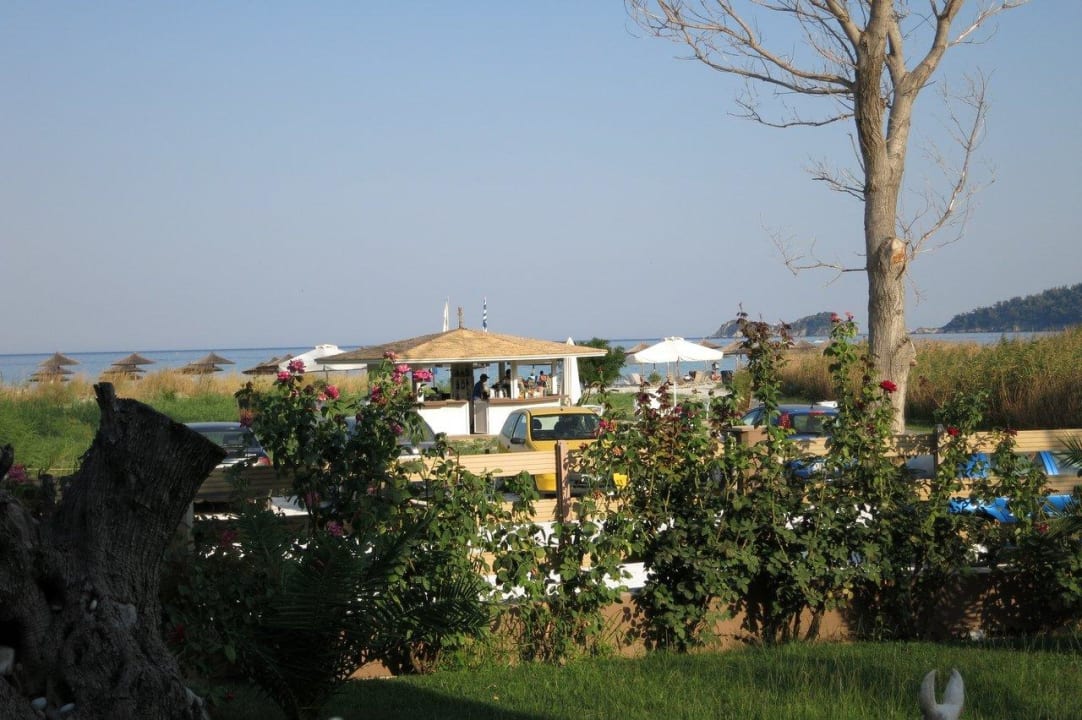 Blick auf Strandbar Alexandra Golden Boutique - Adults only