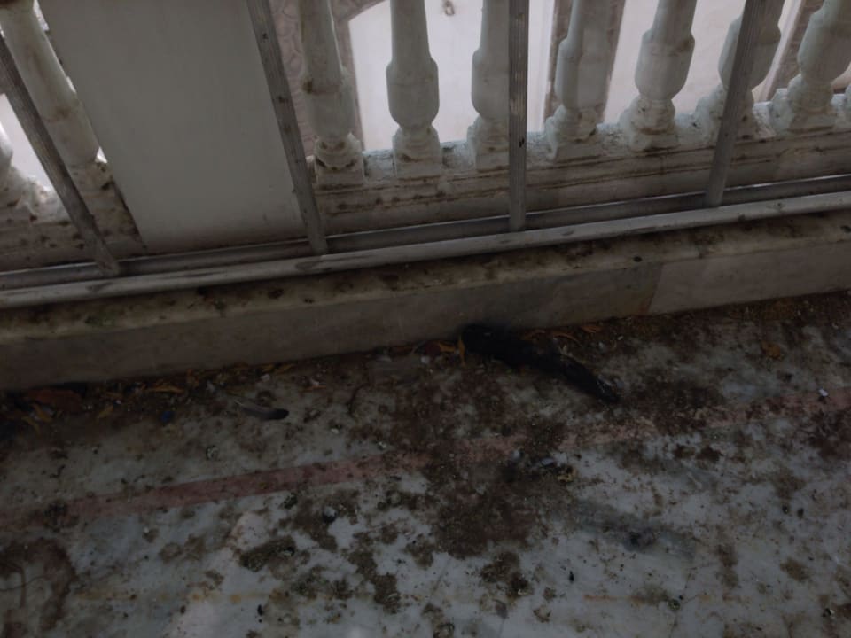 Filthy and mucky Hotel The Merwara Palace