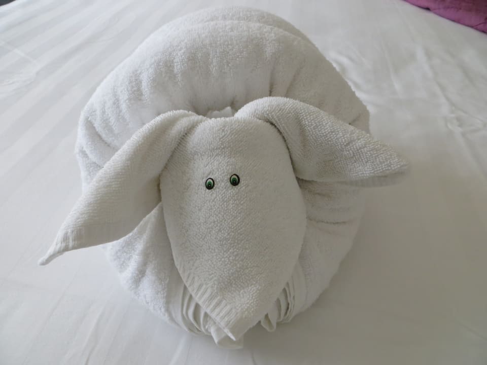 Zimmer Viva Azteca by Wyndham - All Inclusive Resort