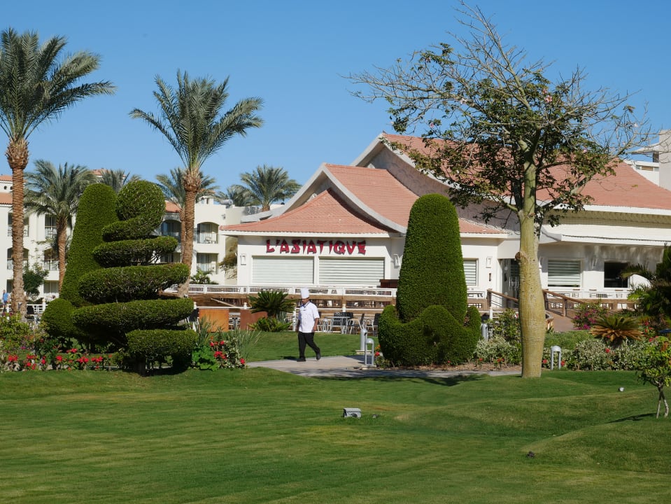 Gartenanlage Pickalbatros Dana Beach Resort - Hurghada