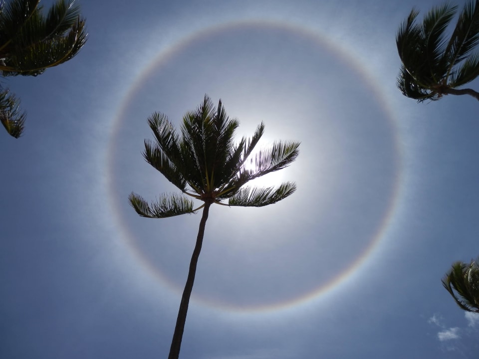 Halo an zwei Tagen am Himmel Punta Cana Princess All Suites Resort & Spa