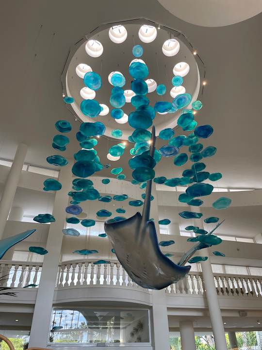 Lobby Iberostar Selection Albufera Park