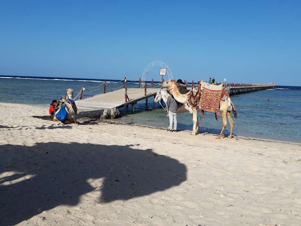 Strand Novotel Marsa Alam Beach Resort