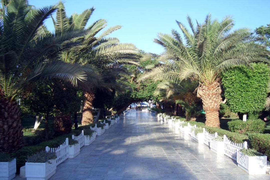 Der wunderschöne Garten Richtung Strand The Grand Hotel Hurghada