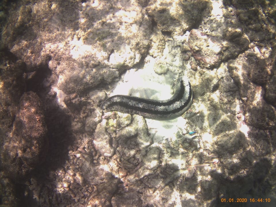 Sport & Freizeit Embudu Village