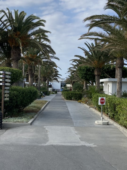 Gartenanlage Civitel Creta Beach
