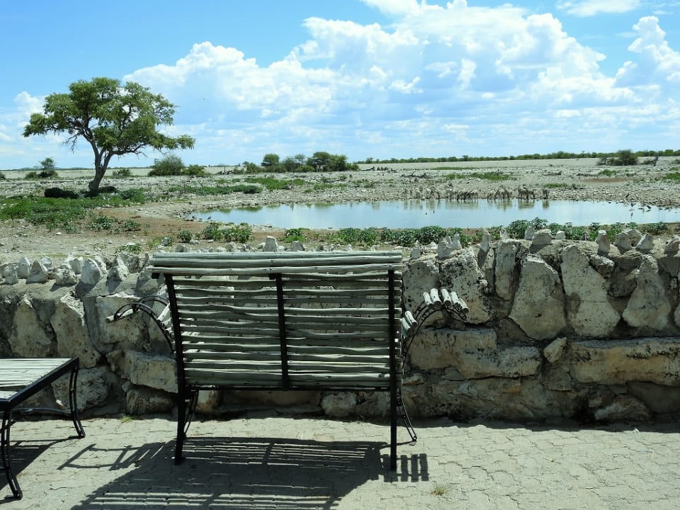 Gartenanlage Okaukuejo Camp