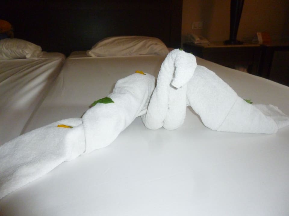 Figuren Jaz Dar EL Madina