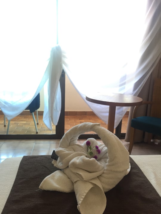 Zimmer Starfish Cuatro Palmas