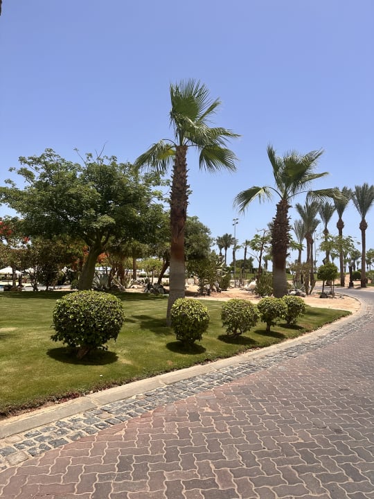 Gartenanlage Steigenberger Aqua Magic