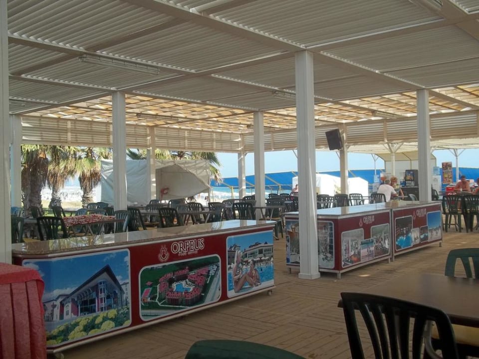 Strandbar Hotel Orfeus Park