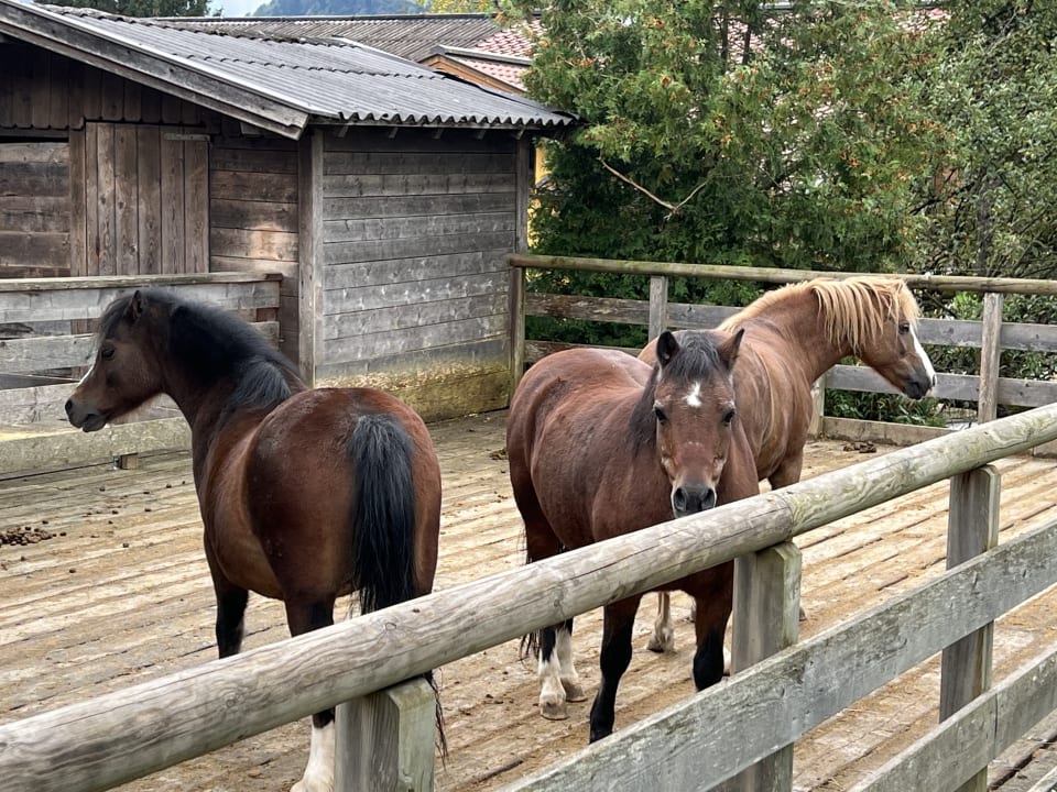 Sport & Freizeit Hotel Ferienparadies Lerch