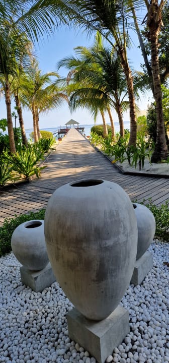 Gartenanlage Adaaran Select Meedhupparu Island Resort - Premium All Inclusive