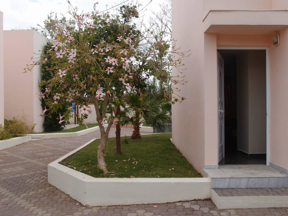 Ogród wokół bungalowca HARPIN Georgioupolis Resort Aquapark & SPA