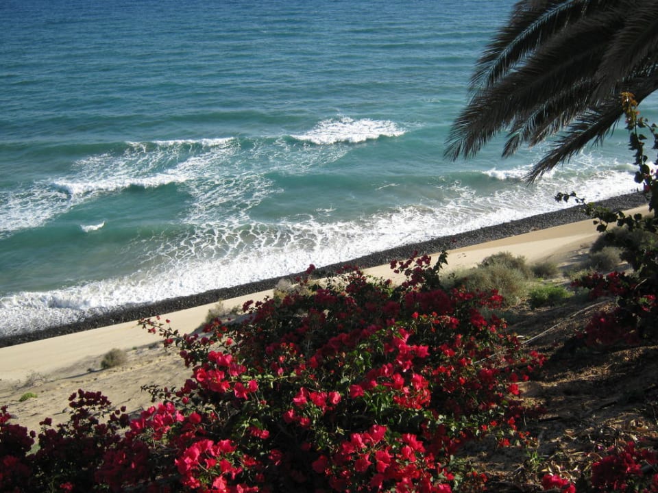 Blick von der Promenade SBH Club Paraiso Playa