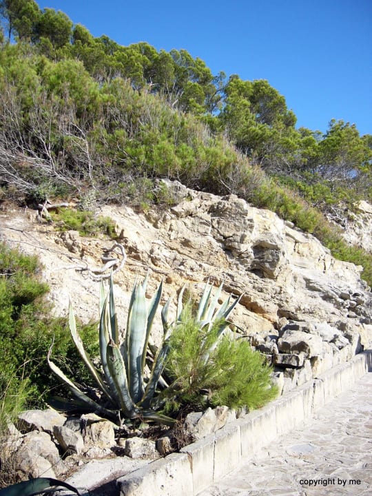Promenade allsun Hotel Bella Paguera