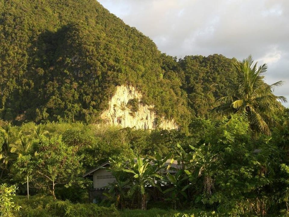 Der "Hausberg" hinter der Anlage Bananas Bungalows