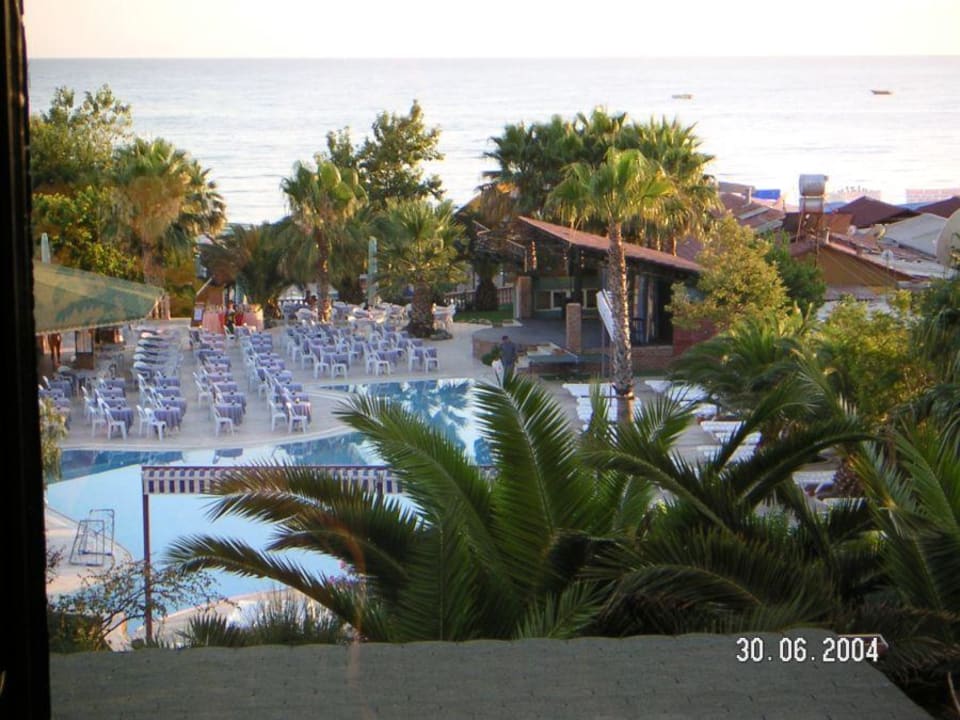 Pool Hotel Thalia Unique