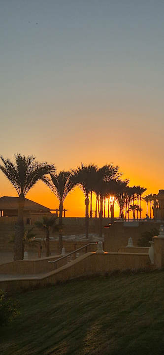 Gartenanlage JAZ Neo Reef Marsa