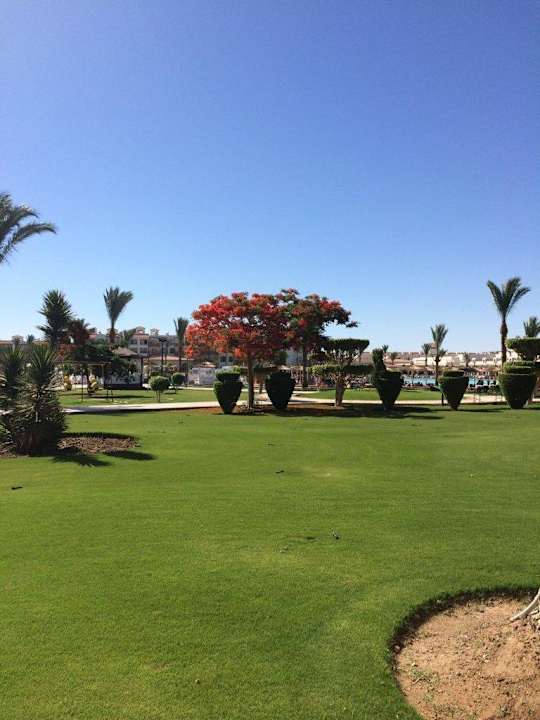 Teil der Gartenanlage Pickalbatros Dana Beach Resort - Hurghada