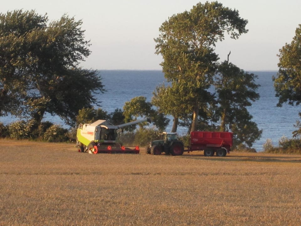 Sonstiges Ferienbauernhof Liesenberg mit Meerblick