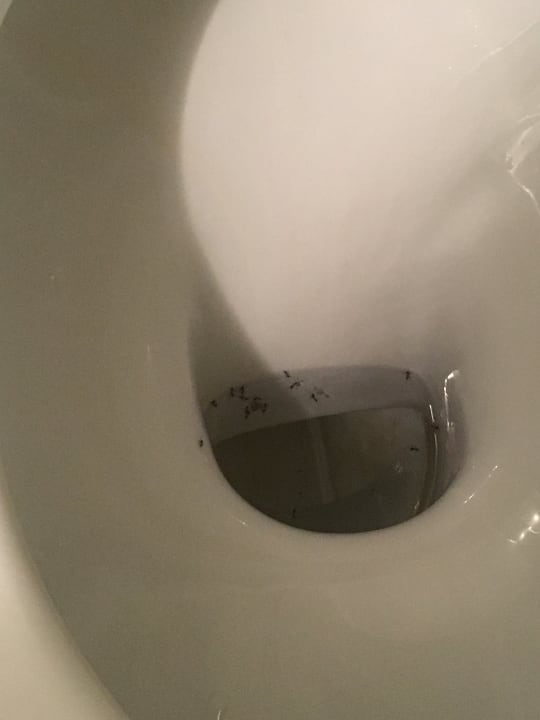 Zimmer Hotel Laimerhof