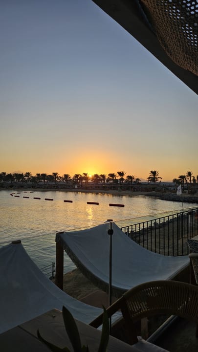 Ausblick Desert Rose