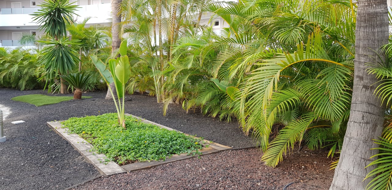 Außenansicht Bull Escorial & Spa