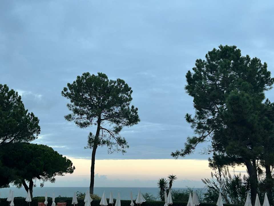 Gartenanlage PortoBay Falésia