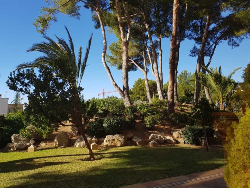 Der wunderschöne Gartenbereich (Teilansicht) GPRO Valparaiso Palace & Spa