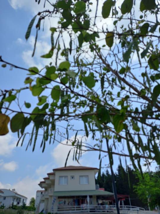 Gartenanlage Sultan of Dreams Hotel & Spa