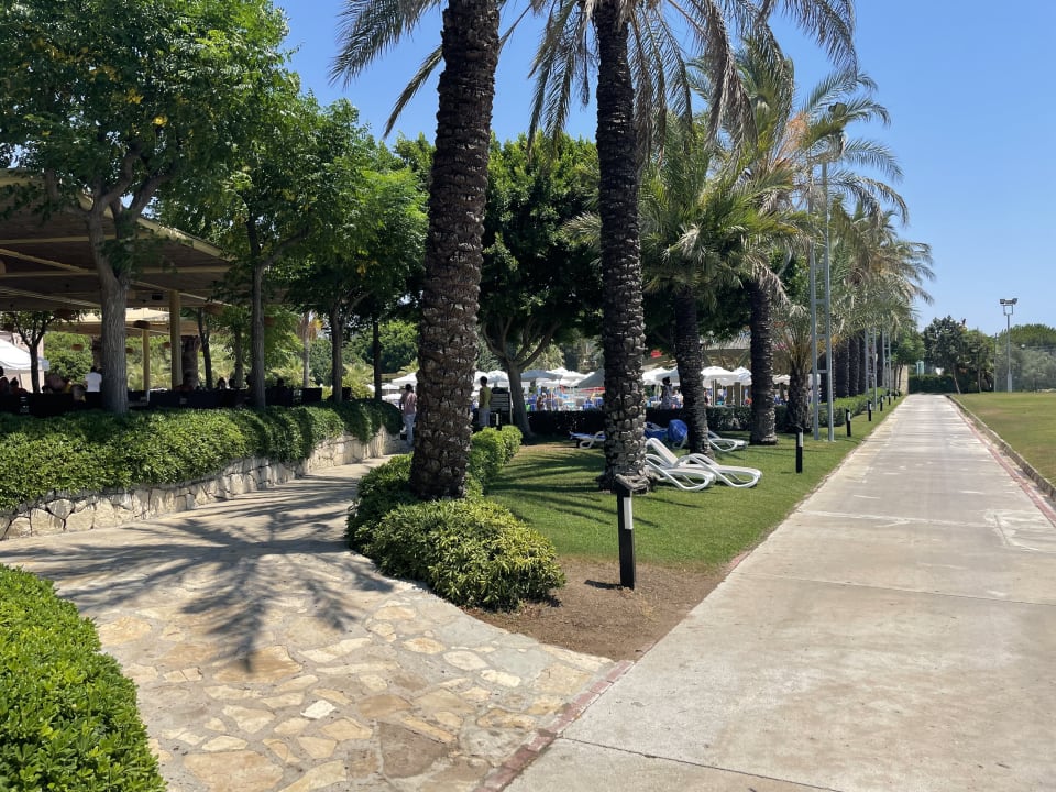 Gartenanlage Blue Waters Club