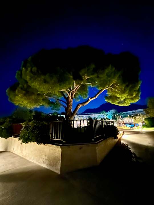 Pool Rixos Premium Tekirova