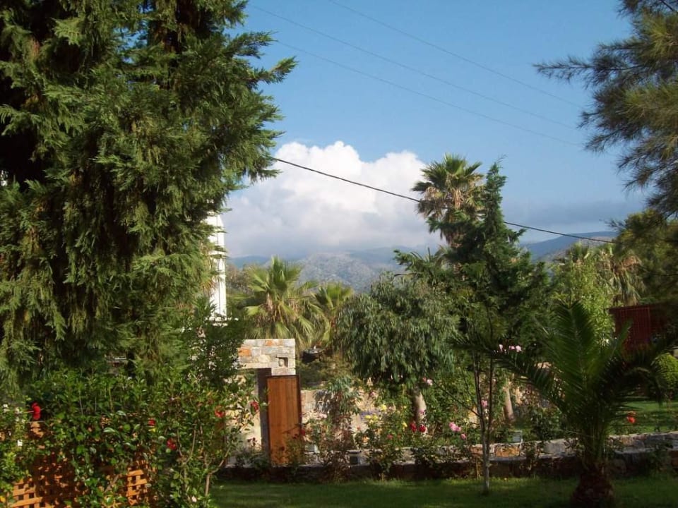 Grüner Garten High Beach Resort